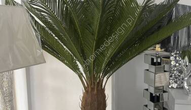 Kategoria Rośliny sztuczne