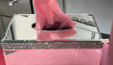 Kategoria Chustecznik