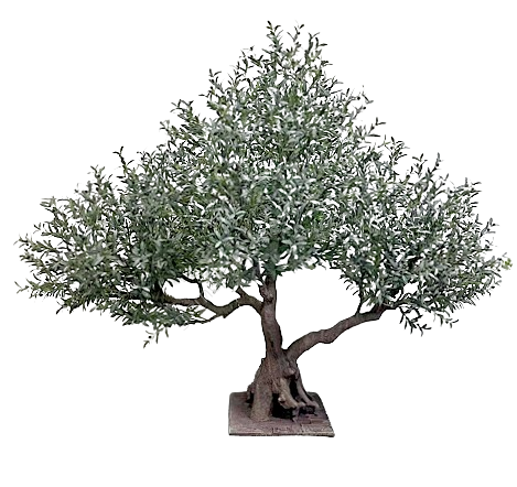 Sztuczne drzewko Oliwne jak żywe  270x120x230 