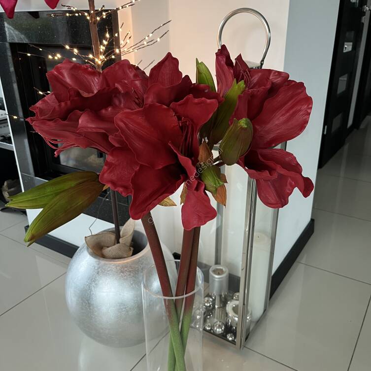 Kwiat Amarylisa czerwony 106 cm