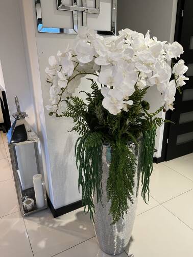 Storczyk kompozycja kwiatowa w donicy 