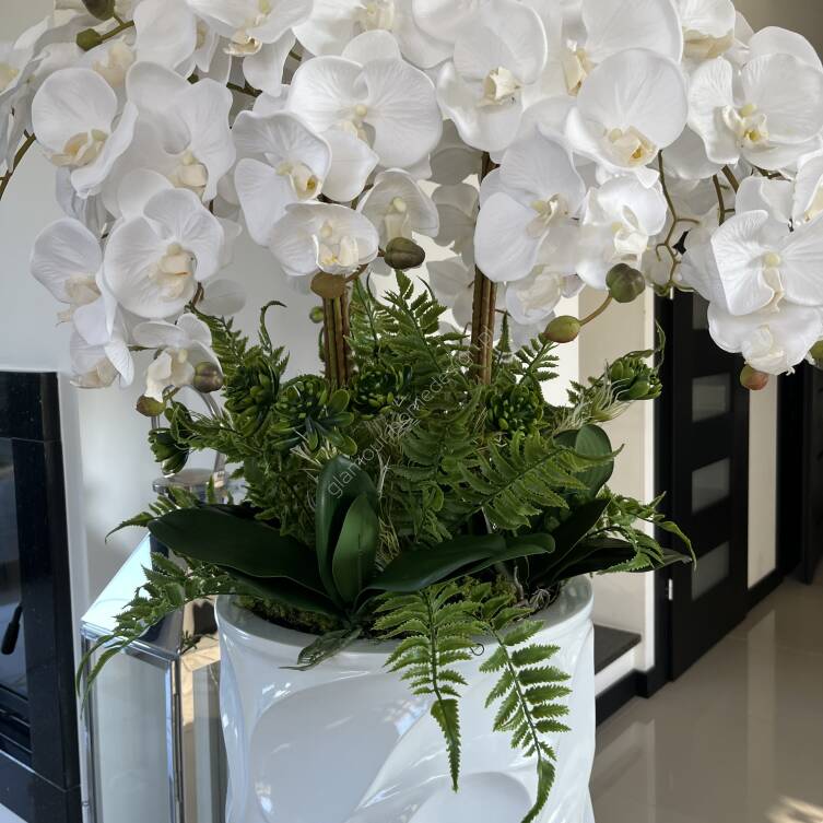 Storczyki kompozycja kwiatowa w donicy 