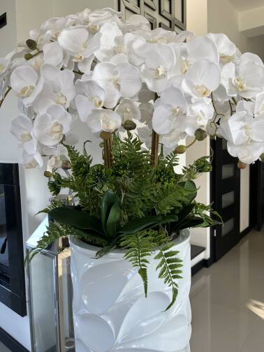 Storczyki kompozycja kwiatowa w donicy 