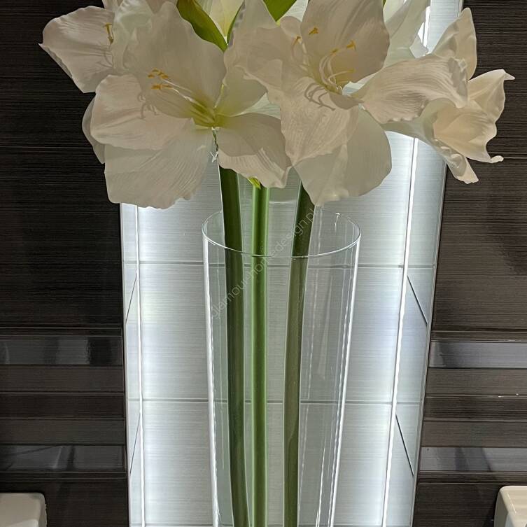 Kwiat Amarylisa biały