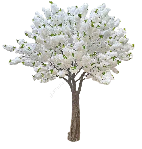 Drzewo Wiśniowe białe 220x200x250