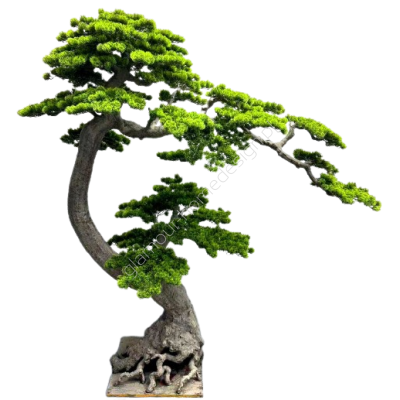 Drzewo Bonsai jak żywe 180x90x200