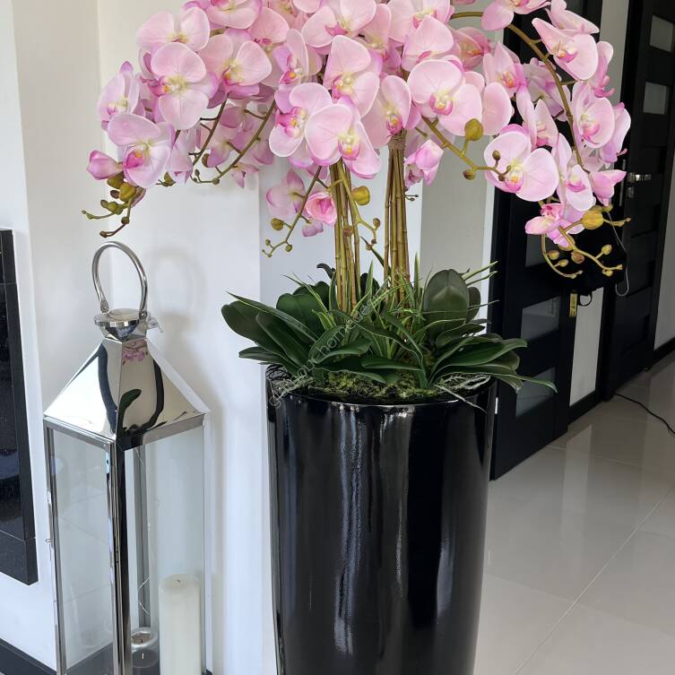 Storczyki kompozycja kwiatowa w donicy 