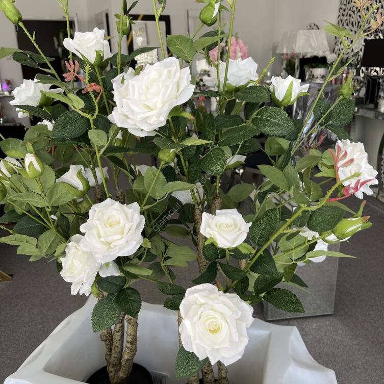 Drzewo różane w donicy Róża biała 