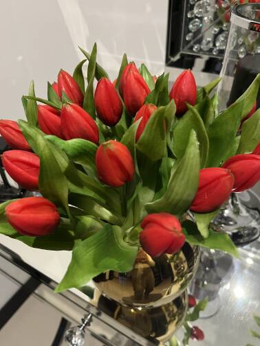 Tulipany czerwone 7 szt